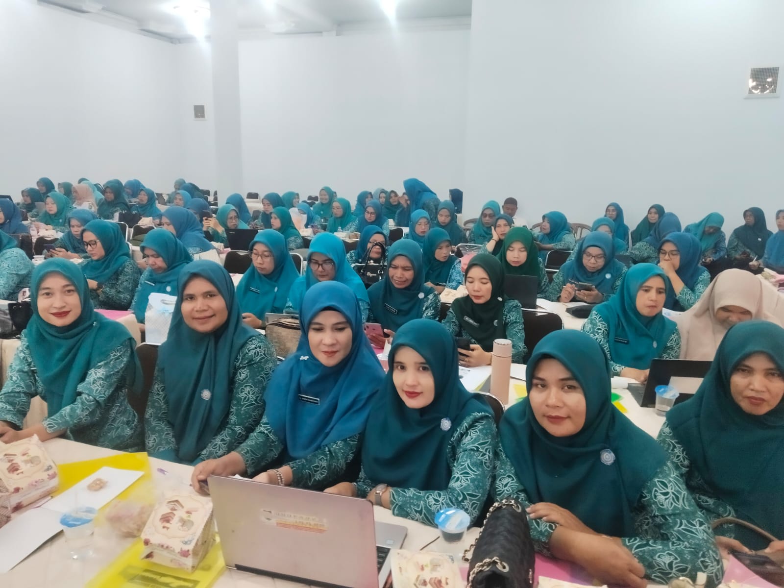 Mengikuti kegiatan  Sosialisasi PKK dan Lauching Aplikasi SERASI di Kabupaten Mandailing Natal Tahun 2025